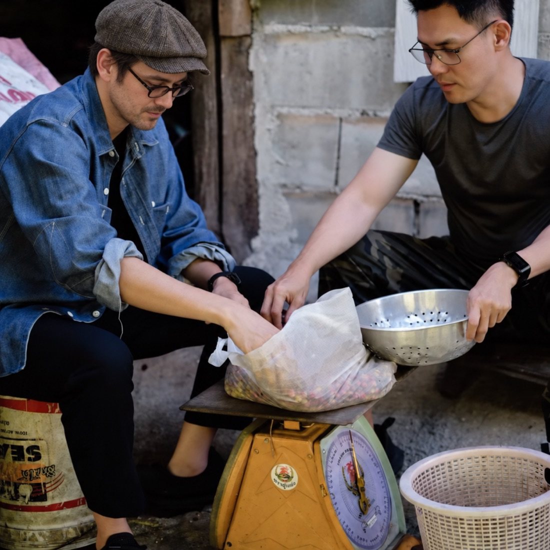 Two people seated beside a scale, examining and selecting harvested coffee cherries