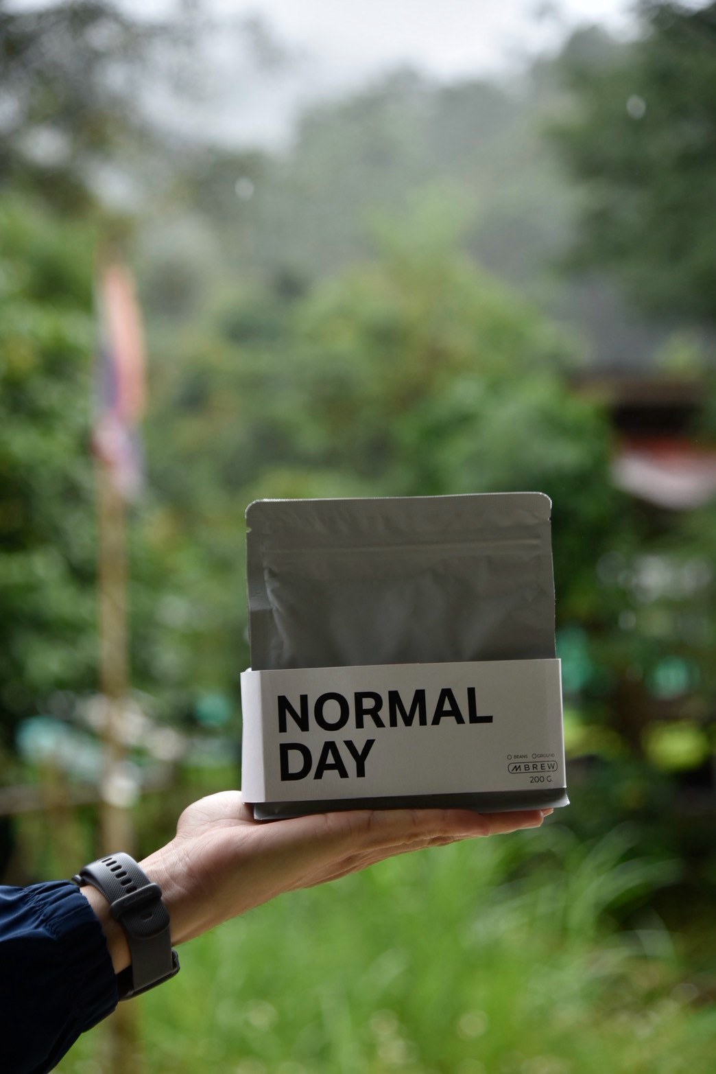 A Normal Day coffee pack held against the green landscape at origin