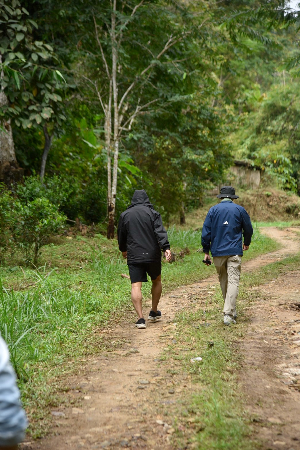 Two people walking together into the forest along a mountain path